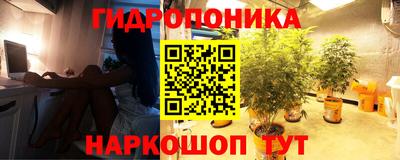mdpv Обнинск