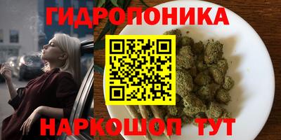mdpv Обнинск