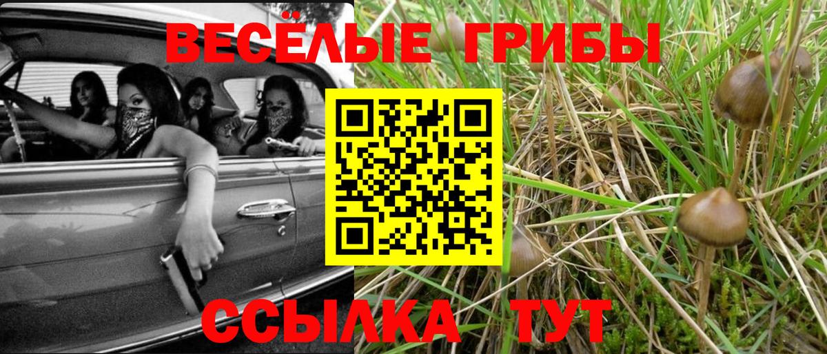 Советский  Псилоцибиновые грибы GOLDEN TEACHER  купить наркотики сайты  Галлюциногенные грибы MAGIC MUSHROOMS  Вход с VPN 