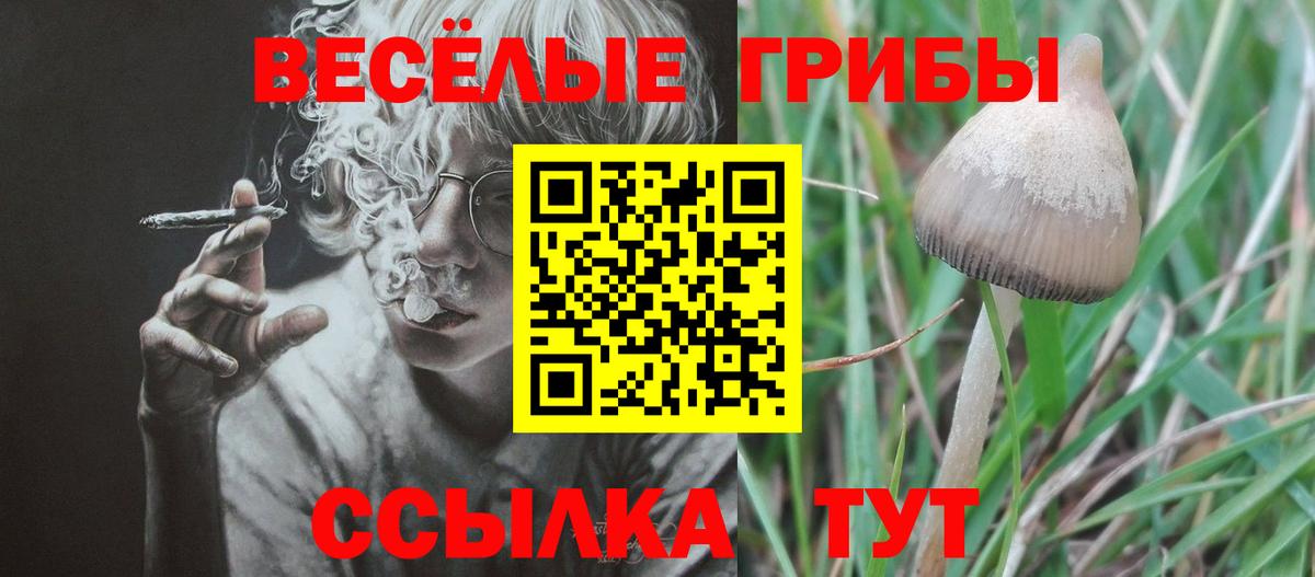 Галлюциногенные грибы ЛСД Советский